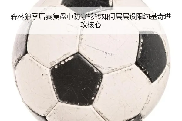 森林狼季后赛复盘中防守轮转如何层层设限约基奇进攻核心